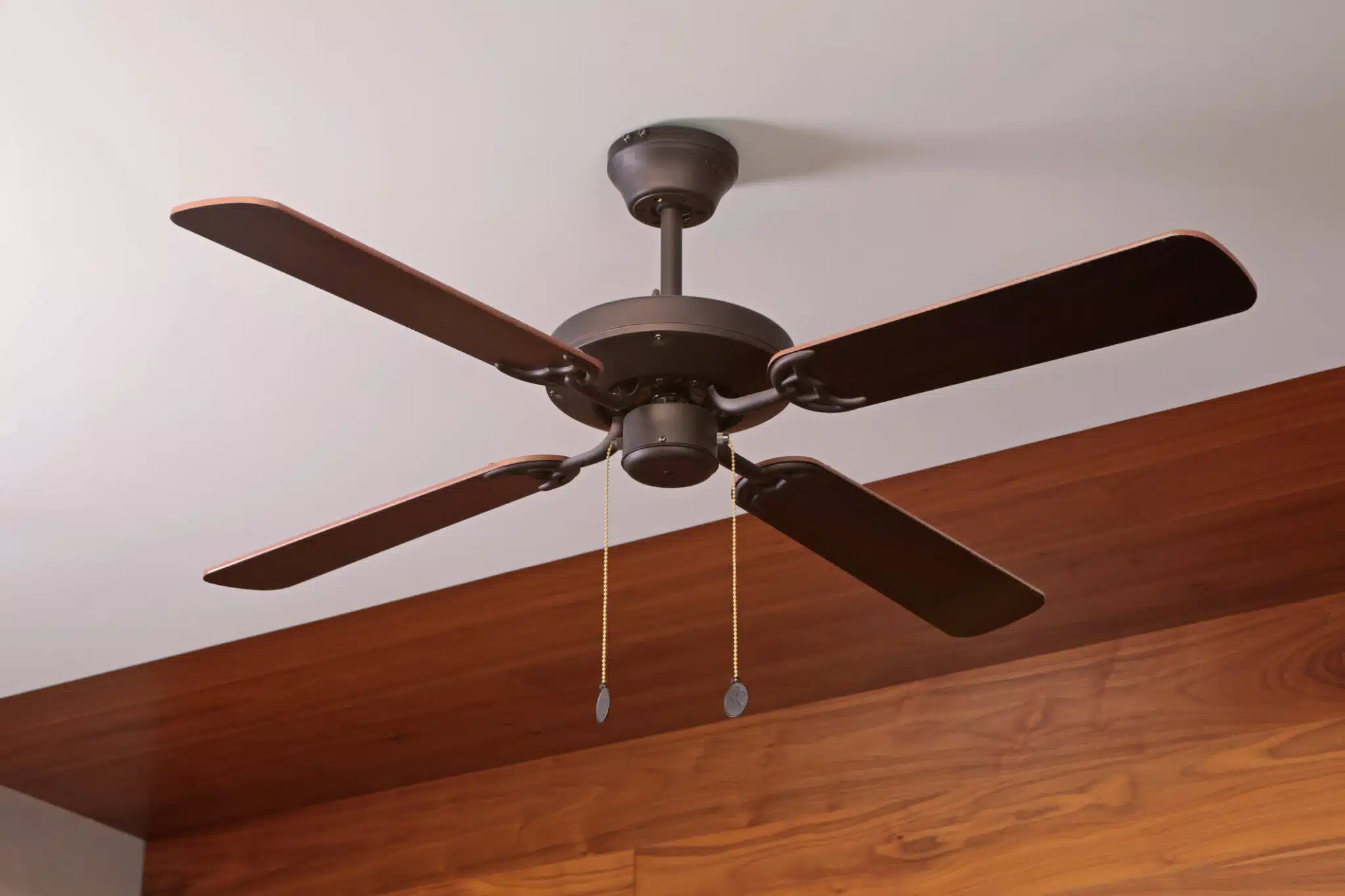 Ceiling Fan